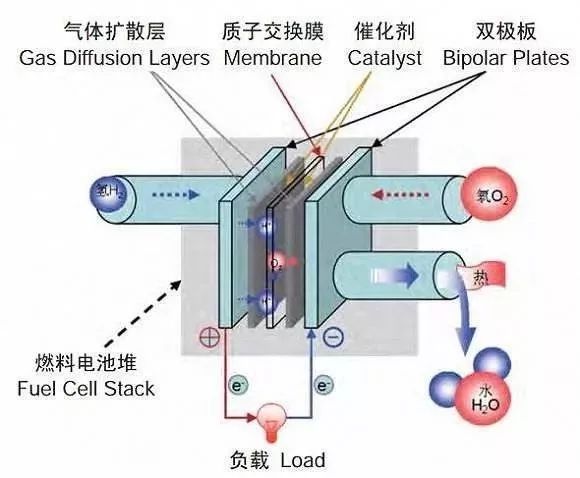 同为氢燃料电池，国内外的态度为何如此不同？